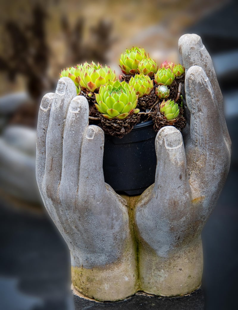 Succulent Statues