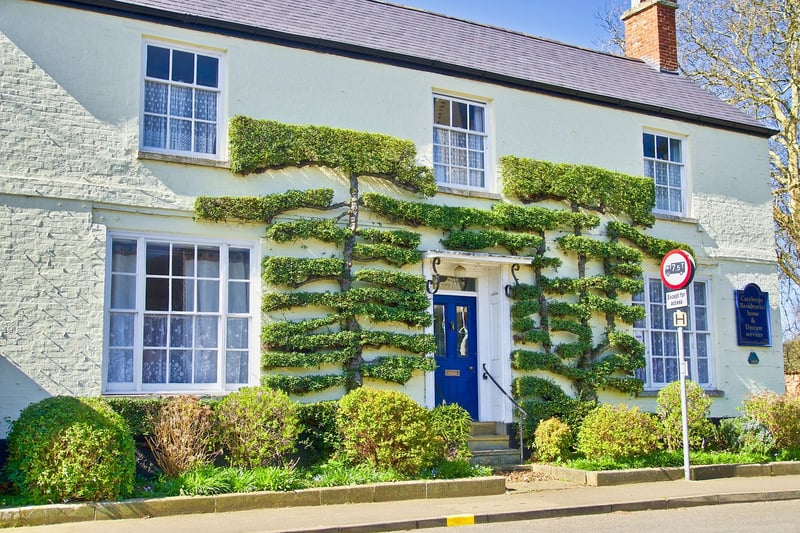 Plant Sculpture